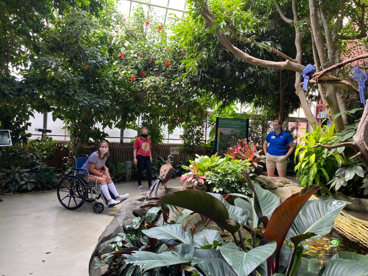 Visitors enjoying the Tropical Rainforest room at the National Aviary