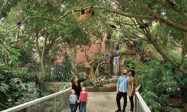 People at National Aviary looking at sloth