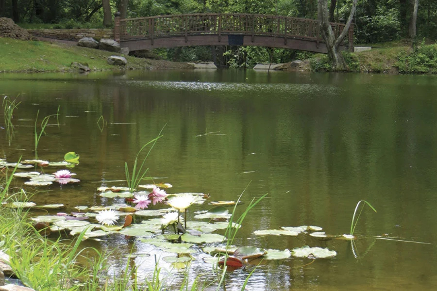 Pittsburgh Botanic Garden water feature